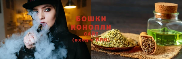 прущие грибы Армянск