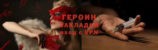 индика Арсеньев