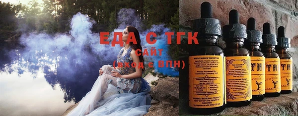 индика Арсеньев