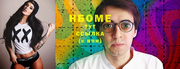 индика Арсеньев