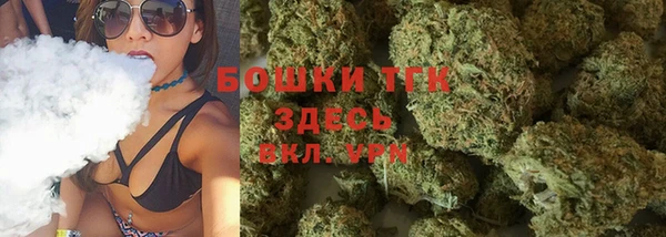 индика Арсеньев
