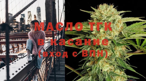 прущие грибы Армянск