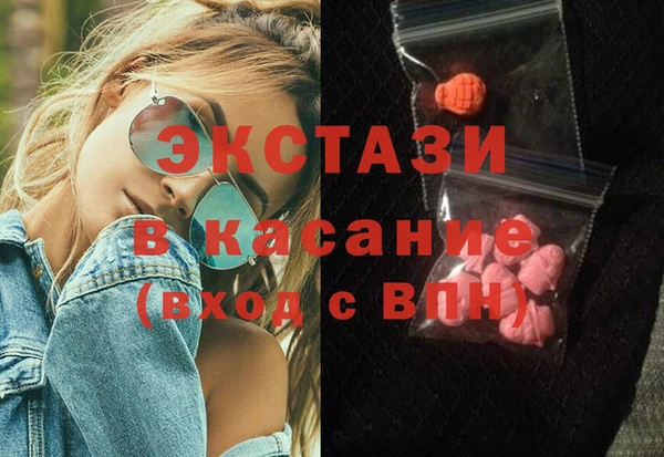 индика Арсеньев