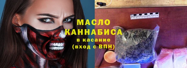 индика Арсеньев